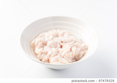 Makoto Shingo Makoto Shingo 97479329