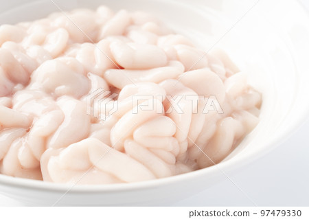 Makoto Shingo Makoto Shingo 97479330