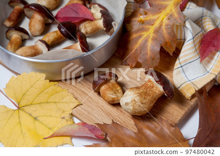 Several Imleria Badia or Boletus badius mushrooms commonly known as the bay bolete, vintage baking sheet with mushrooms on wooden cutting board.. Several Imleria Badia or Boletus badius mushrooms commonly known as the bay bolete, vintage baking sheet with mushrooms on wooden cutting board.. 97480042