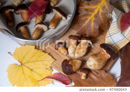 Several Imleria Badia or Boletus badius mushrooms commonly known as the bay bolete, vintage baking sheet with mushrooms on wooden cutting board.. Several Imleria Badia or Boletus badius mushrooms commonly known as the bay bolete, vintage baking sheet with mushrooms on wooden cutting board.. 97480043