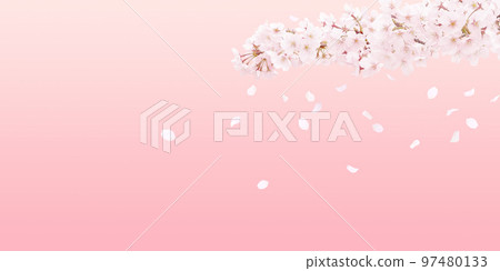 櫻花插畫真實背景 櫻花插畫真實背景 97480133