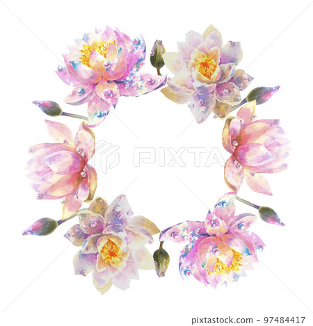 watercolor wreath of water lily flowers with empty space for your text. Greeting card with watercolor wild flowers on a white background. watercolor wreath of water lily flowers with empty space for your text. Greeting card with watercolor wild flowers on a white background. 97484417