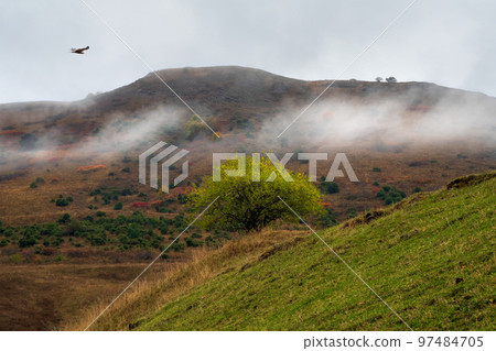 Lonely green tree on a steep mountain slope. Minimalist scene with tree on green valley background. Beautiful mountain landscape in late autumn. Lonely green tree on a steep mountain slope. Minimalist scene with tree on green valley background. Beautiful mountain landscape in late autumn. 97484705