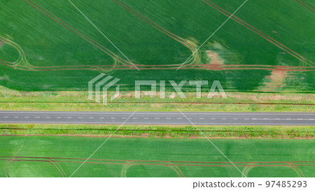 Drone aerial view photo of the bright green wheat field separated by the road Drone aerial view photo of the bright green wheat field separated by the road 97485293