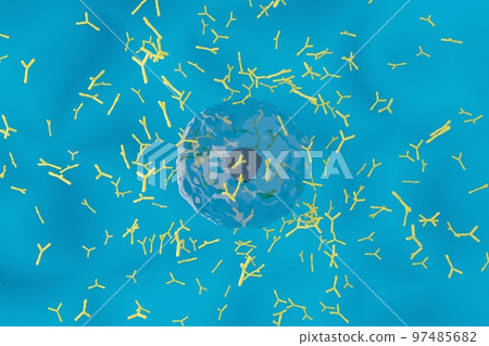 產生抗體的漿細胞圖像 97485682