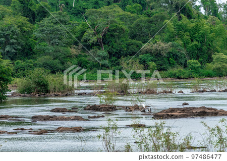 Iguazu Falls on the border of Brazil and Argentina in South America. the largest waterfall system on Earth 97486477