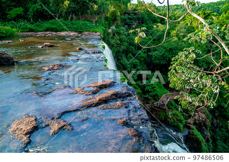 nature, river and plants around Iguazu Falls 97486506