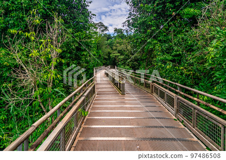 tourist lookout bridge at iguazu falls in argentina 97486508