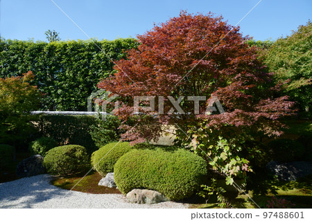 秋天的大德寺香林院 京都市北區紫野 97488601