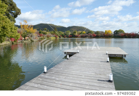 秋天的大覺寺,秋葉的大澤池,佐賀市右京區,京都市 秋天的大覺寺,秋葉的大澤池,佐賀市右京區,京都市 97489302