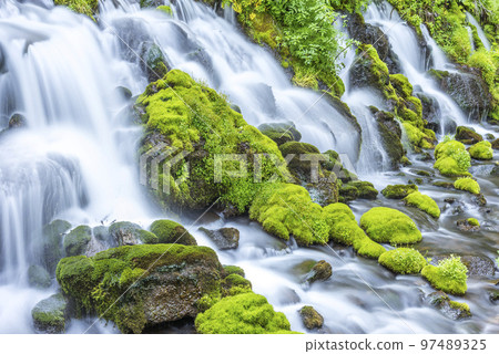 言語公園京極町 97489325