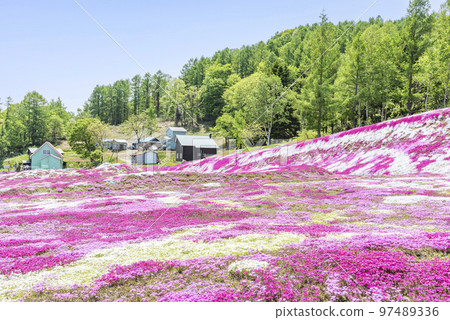 芝櫻俱知町 97489336