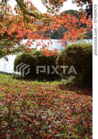 秋天的大覺寺，秋葉的大澤池，佐賀市右京區，京都市 97489479