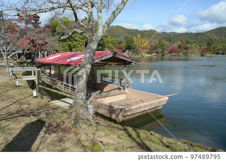 秋天的大覺寺,秋葉的大澤池,佐賀市右京區,京都市 秋天的大覺寺,秋葉的大澤池,佐賀市右京區,京都市 97489795
