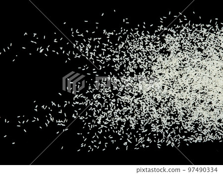 Japanese Rice flying explosion, white grain rices explode abstract cloud fly. Beautiful complete seed rice splash in air, food object design. Selective focus freeze shot Black background isolated 97490334