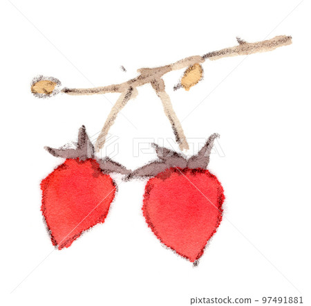 秋冬植物、小紅果和 royagi 的水彩插圖 秋冬植物、小紅果和 royagi 的水彩插圖 97491881