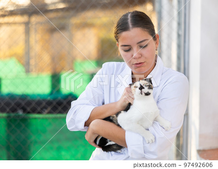 Female volunteer standing with tricolor cat in outdoor shelter 97492606