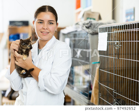 Female volunteer standing in animal shelter with small kitten Female volunteer standing in animal shelter with small kitten 97492652