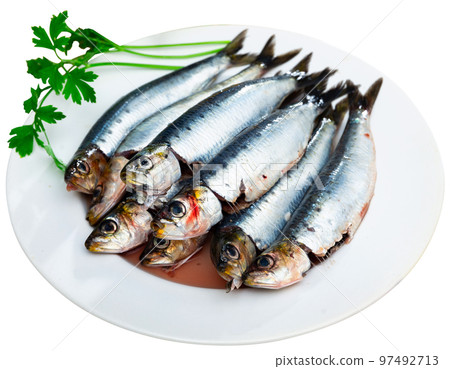 Sardines lying on white plate with lemon, parsley and garlic Sardines lying on white plate with lemon, parsley and garlic 97492713