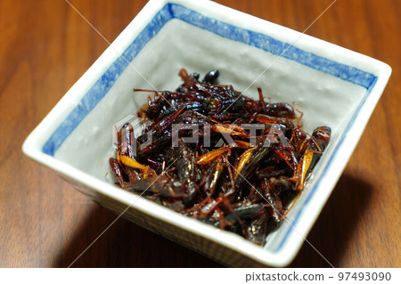 蝗蟲蝗蟲 蝗蟲蝗蟲 97493090