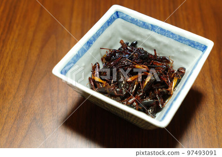 蝗蟲蝗蟲 97493091