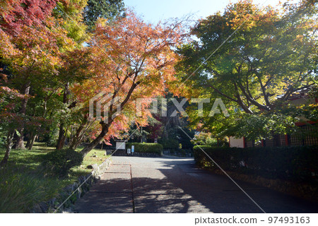 Saginomori Shrine, autumn leaves approach, Shugakuin, Sakyo Ward, Kyoto City Saginomori Shrine, autumn leaves approach, Shugakuin, Sakyo Ward, Kyoto City 97493163