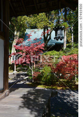 Sekizanzen-in 寺廟地面秋葉京都左京區 Sekizanzen-in 寺廟地面秋葉京都左京區 97493400
