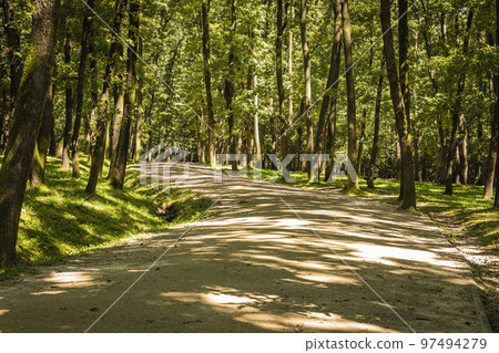 森林,步道,森林道路,景觀 森林,步道,森林道路,景觀 97494279