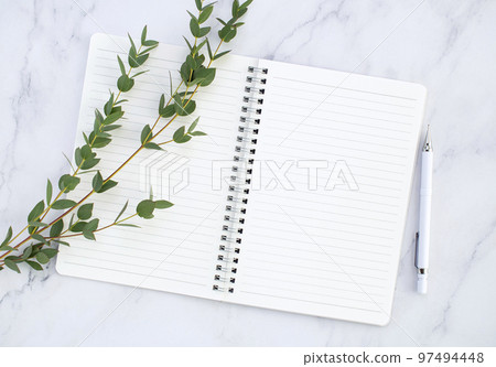 鮮花和日記模型 鮮花和日記模型 97494448