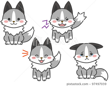 Emotions and sorrows of the platinum fox Emotions and sorrows of the platinum fox 97497039