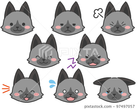 Silver fox expression face icon 97497057