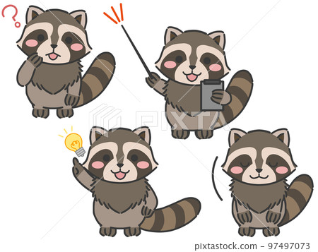 Raccoon Questions and Solutions 97497073