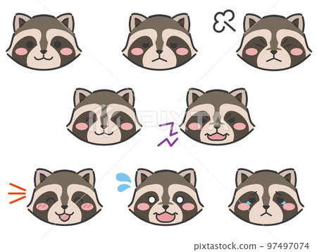 Raccoon expression face icon 97497074
