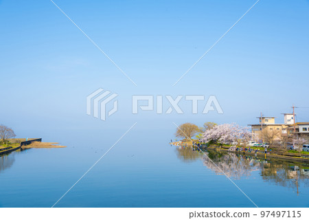 《Shiga Prefecture》 Spring scenery of Lake Biwa, cherry blossoms in full bloom at the mouth of the Amano River, Maibara City, from Yotsugi Bridge 97497115
