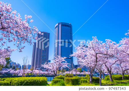 大川櫻花和大阪遊樂設施公園 大川櫻花和大阪遊樂設施公園 97497343