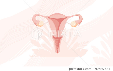 Banner with uterus, template with copy space about women s health, menstruation or conception. Vector template with place for text, flat design. Banner with uterus, template with copy space about women s health, menstruation or conception. Vector template with place for text, flat design. 97497685