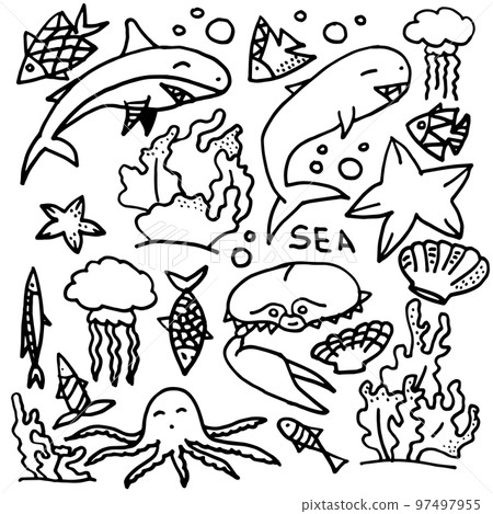 The sea life black and white doodle sketch 97497955