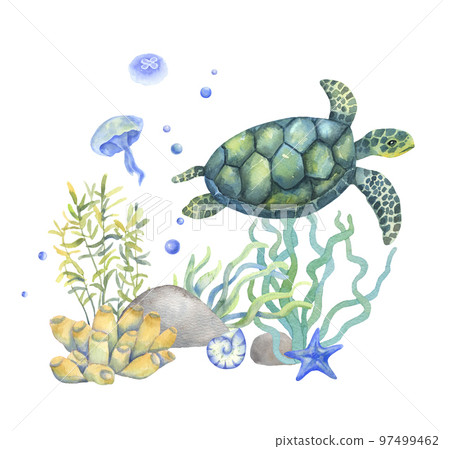 Watercolor swimming turtle isolated on white background. Hand drawn illustration ocean or sea underwater seabed with algae and jellyfish 97499462