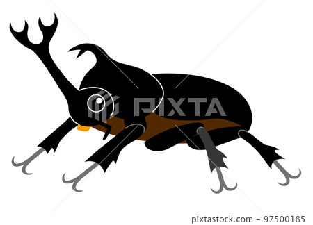 Illustration of a beetle (sideways) 97500185