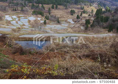 星通的稻田 星通的稻田 97500488