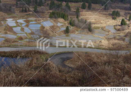 星通的稻田 星通的稻田 97500489