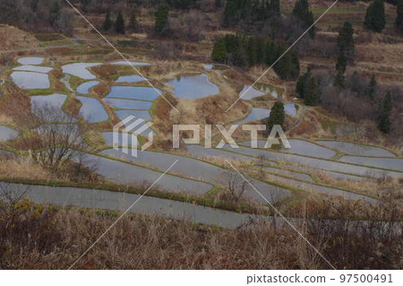 Rice paddy of Star Pass 97500491