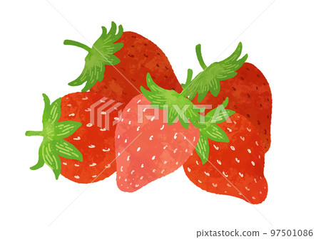 Arranged strawberry watercolor illustration Arranged strawberry watercolor illustration 97501086