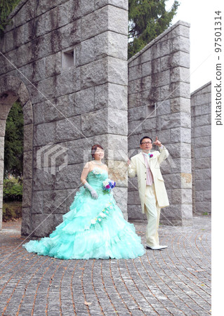 穿著婚紗和燕尾服的新娘和新郎,中年婚姻的婚紗照 穿著婚紗和燕尾服的新娘和新郎,中年婚姻的婚紗照 97501314
