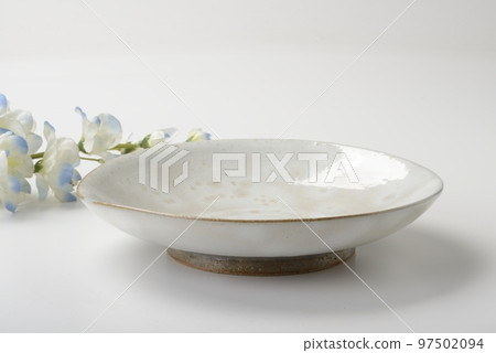 Japanese dish 97502094