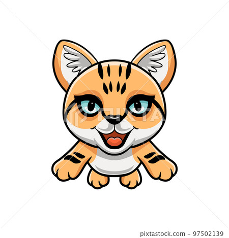 Cute sand cat cartoon flying 97502139