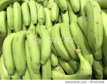 綠色未成熟的香蕉 97502996