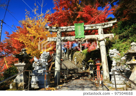 Autumn leaves of Kuwata Shrine 97504688