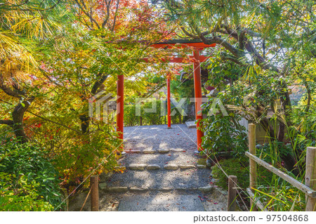 紅葉中的龍安寺、京陽池、弁天島、大弁財尊天 97504868