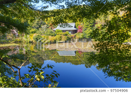 Ryoan-ji Temple in Autumn Leaves Kyoyo Pond Daiju-in Reflection Ryoan-ji Temple in Autumn Leaves Kyoyo Pond Daiju-in Reflection 97504906